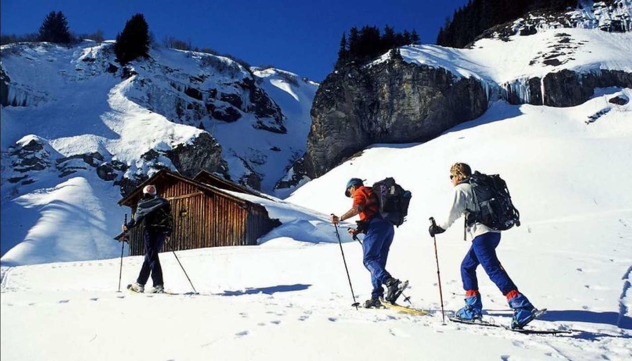 Les Aiguilles De Warens Villa Combloux Ngoại thất bức ảnh